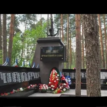 image-1-3
