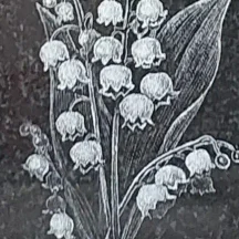 image-3-2